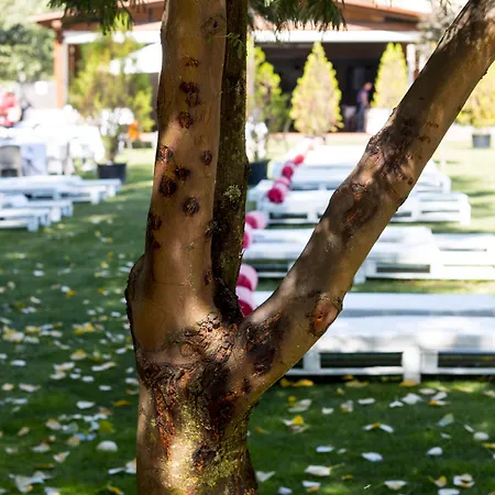 Balneario Valle Del Jerte Resort Valdastillas