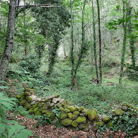 Balneario Valle Del Jerte منتجع 4*