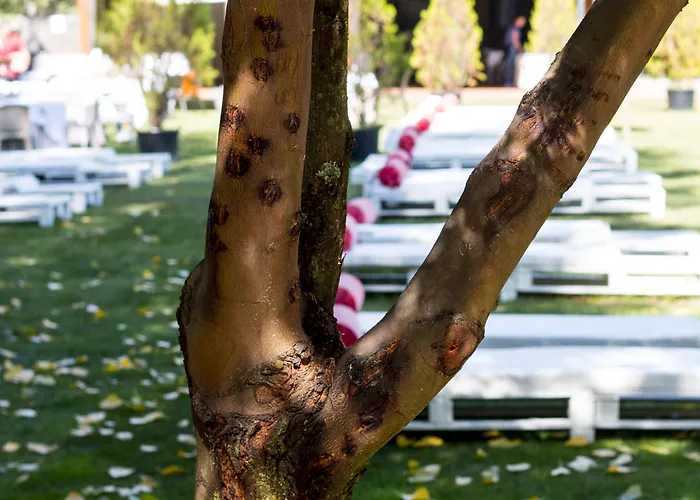 Balneario Valle Del Jerte Rezort Valdastillas