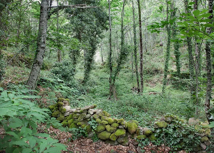 Balneario Valle Del Jerte Rezort 4*